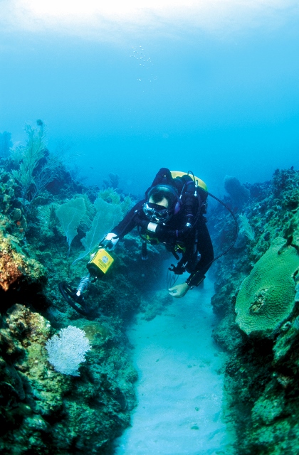 Mergulhadores procurando tesouros com o detector SEA HUNTER Garrett